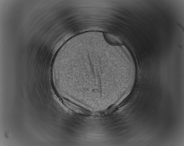 X0000103240898200809251325