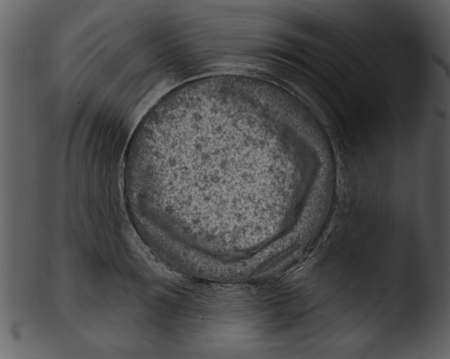 X0000103240899200809251325