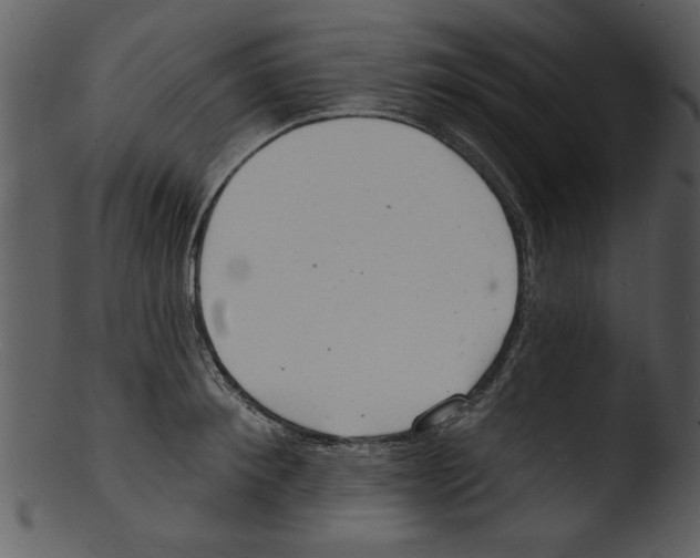 X0000103240900200809251325