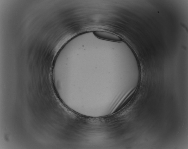 X0000103240901200809251325