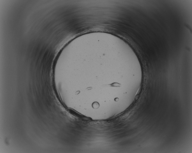 X0000103240902200809251325