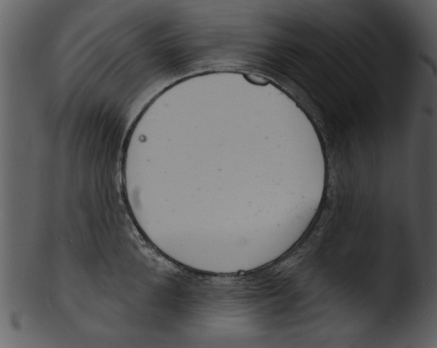 X0000103240904200809251325