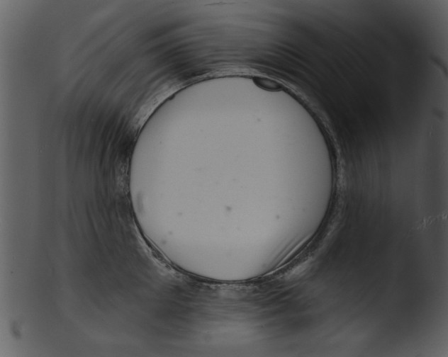 X0000103240905200809251325