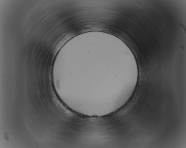 X0000103240906200809251325