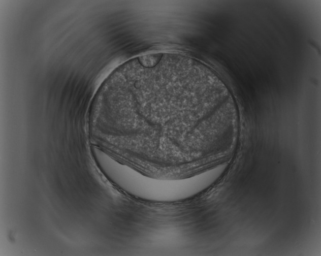 X0000103240907200809251325