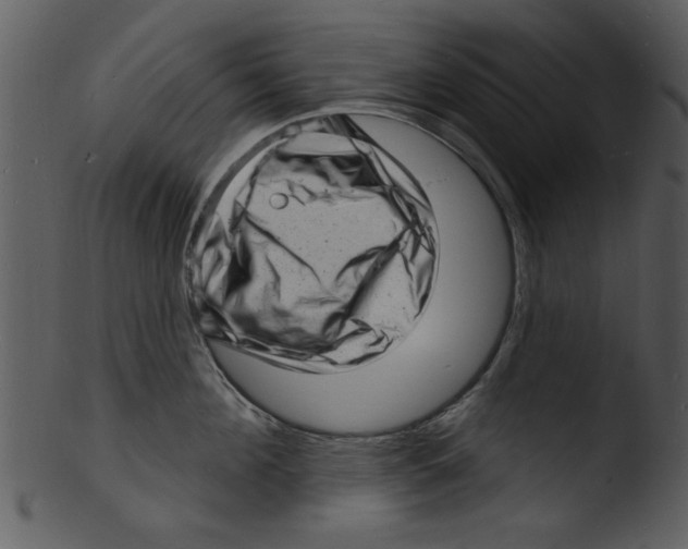 X0000103240908200809251325