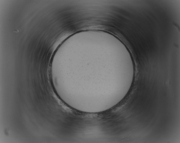 X0000103240909200809251325