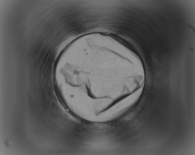 X0000103240910200809251325