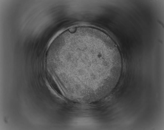 X0000103240911200809251324