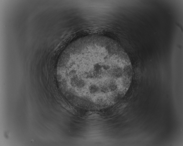 X0000103240913200809251324