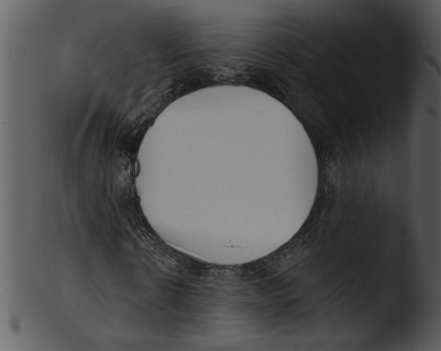 X0000103240914200809251324