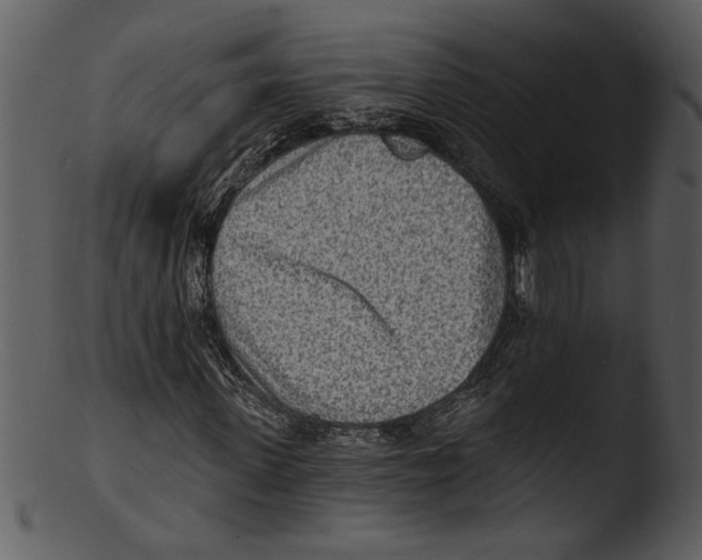 X0000103240915200809251324