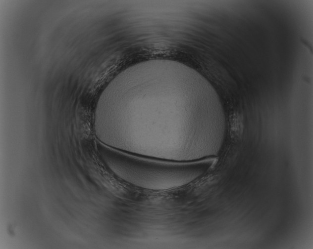 X0000103240916200809251324