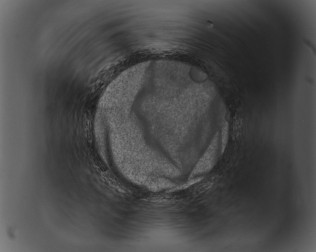 X0000103240917200809251324