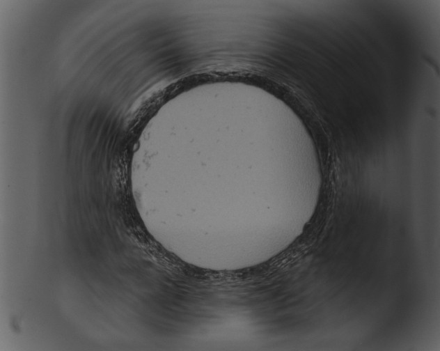 X0000103240920200809251324