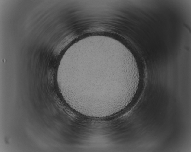 X0000103240921200809251324