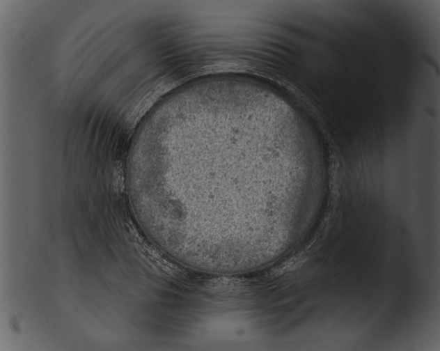 X0000103240929200809251324