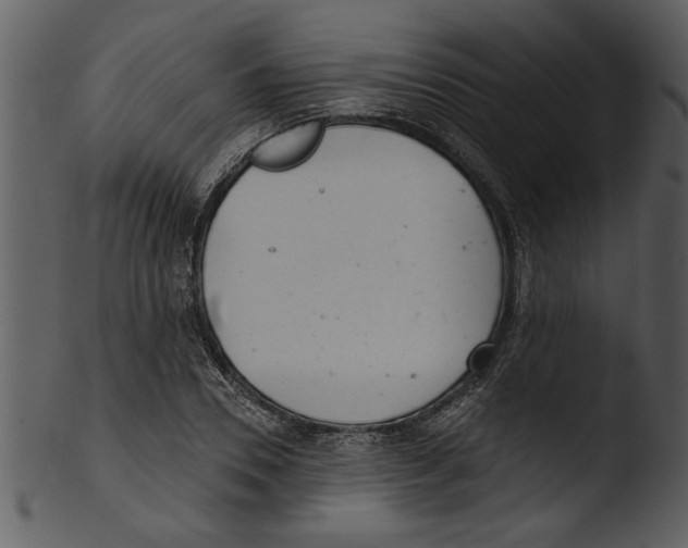 X0000103240930200809251324