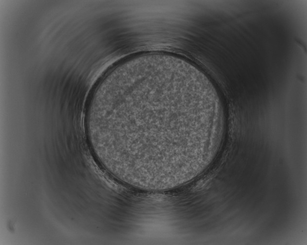 X0000103240932200809251324