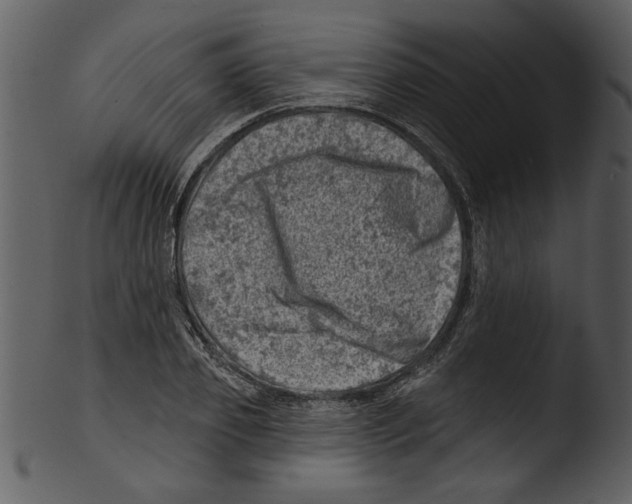 X0000103240933200809251324