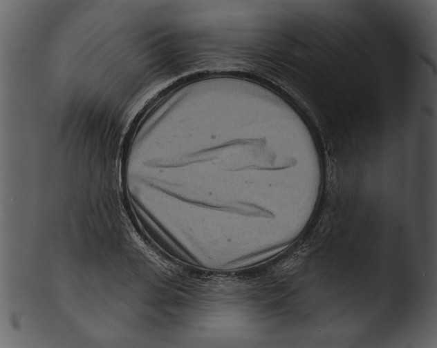 X0000103240935200809251324