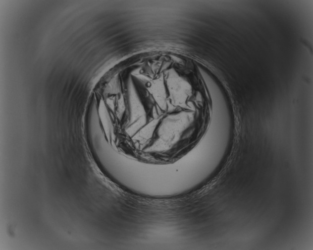 X0000103240936200809251324