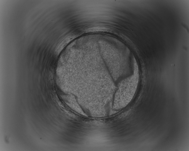 X0000103240937200809251324