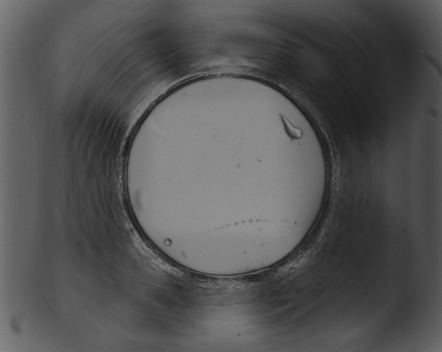 X0000103240941200809251324