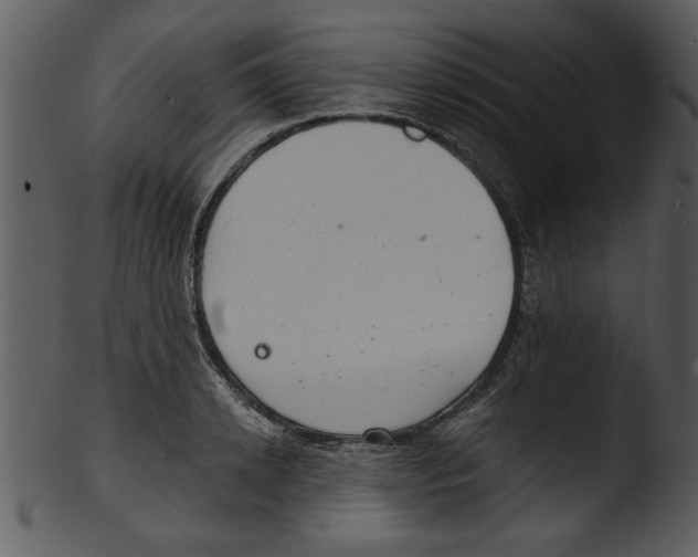 X0000103240942200809251324