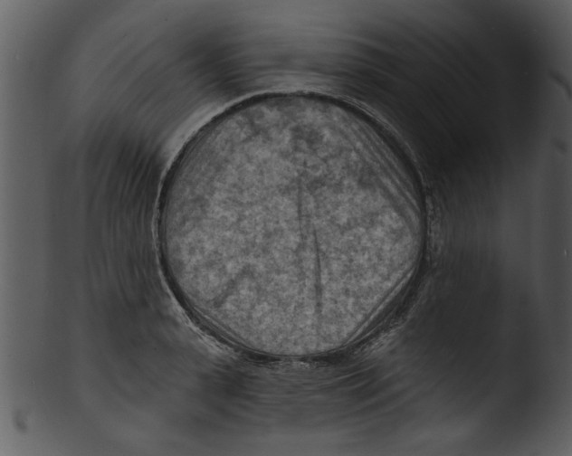 X0000103240943200809251324