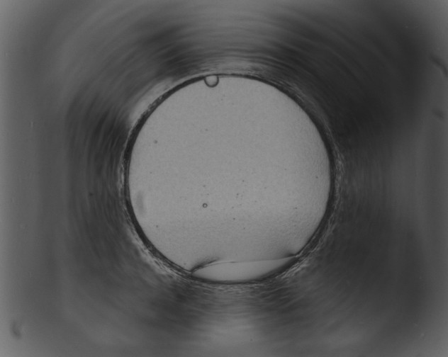 X0000103240944200809251324