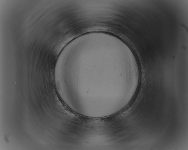 X0000103240945200809251324