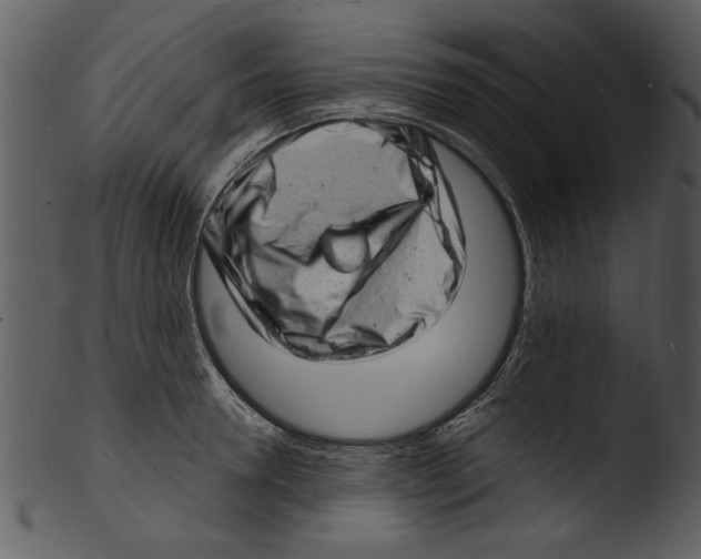 X0000103240946200809251324