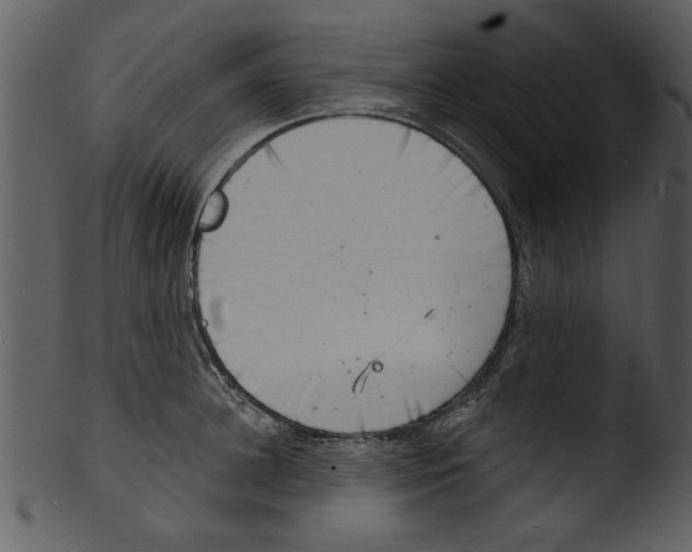 X0000103240948200809251324