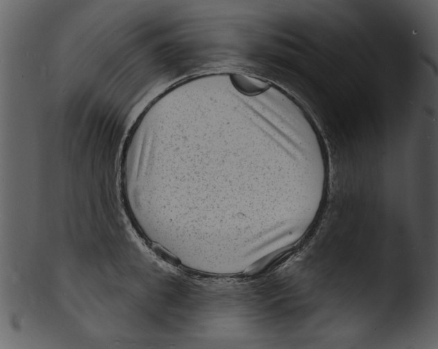 X0000103240949200809251324