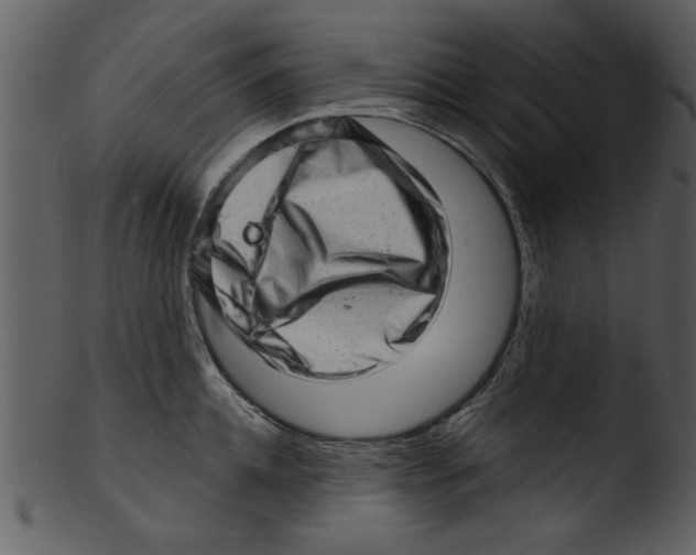 X0000103240952200809251324