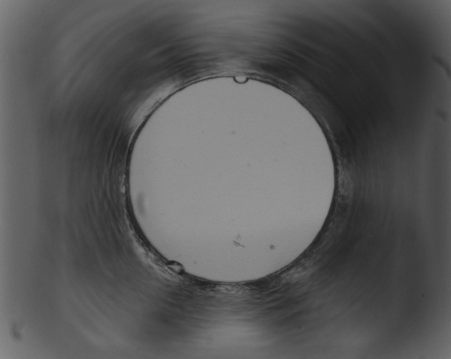 X0000103240954200809251324