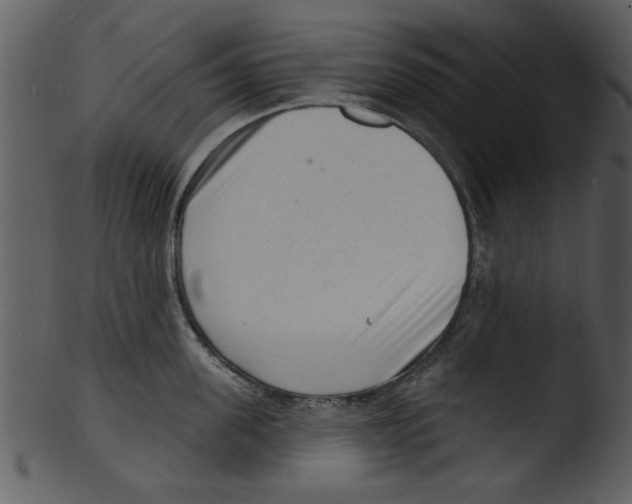 X0000103240955200809251324