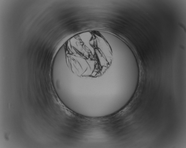 X0000103240956200809251324