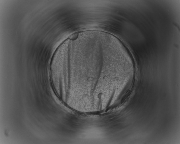 X0000103240957200809251324