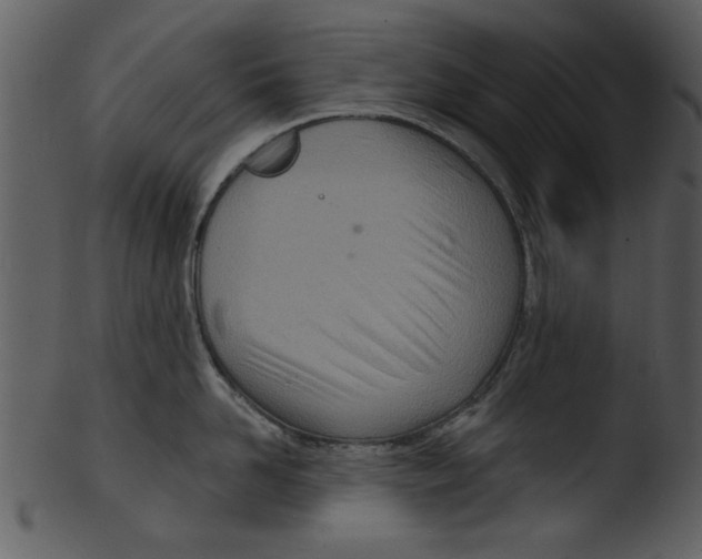 X0000103240958200809251324