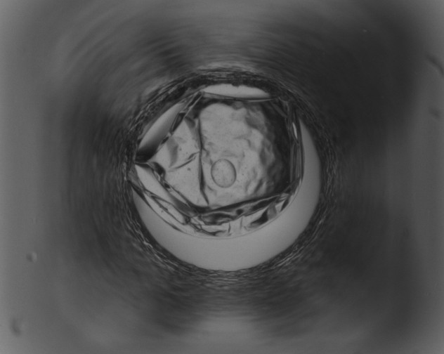 X0000103240965200809251324