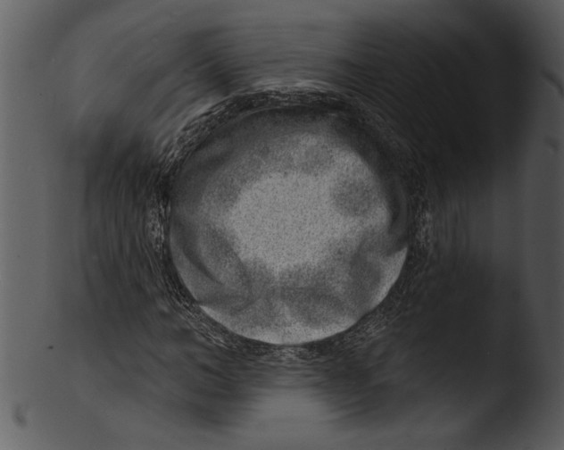 X0000103240966200809251324