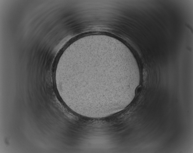 X0000103240972200809251323