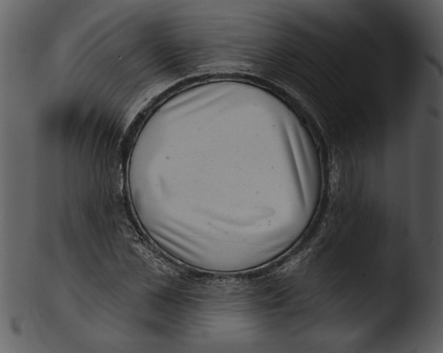 X0000103240973200809251323