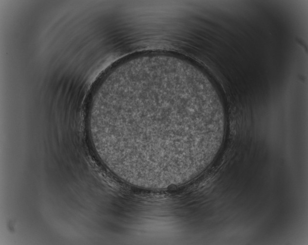 X0000103240975200809251323