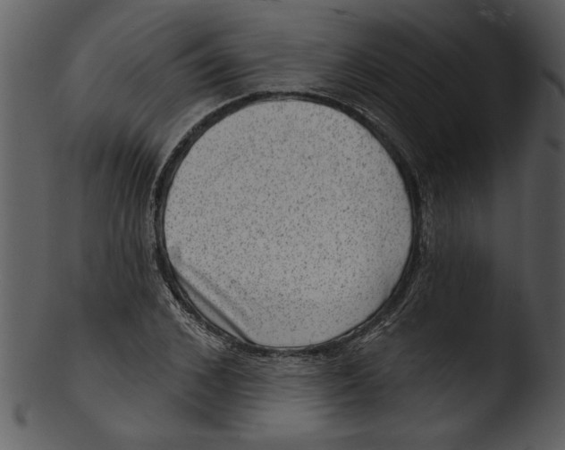 X0000103240976200809251323