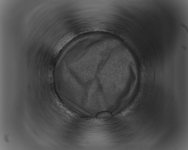 X0000103240977200809251323