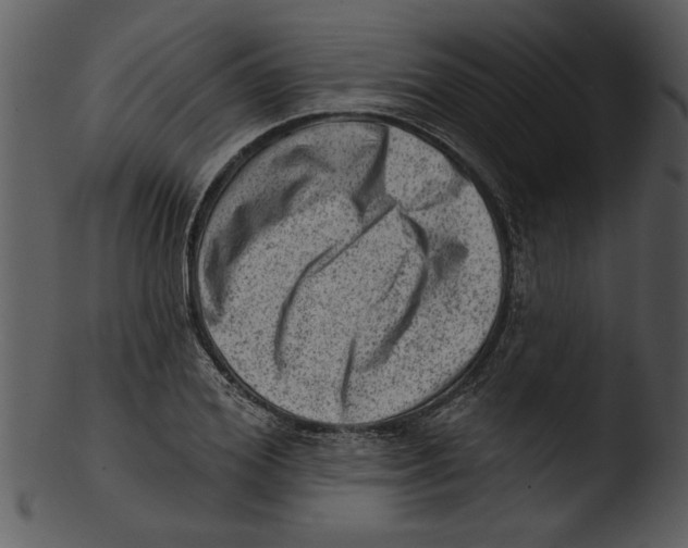 X0000103240980200809251323