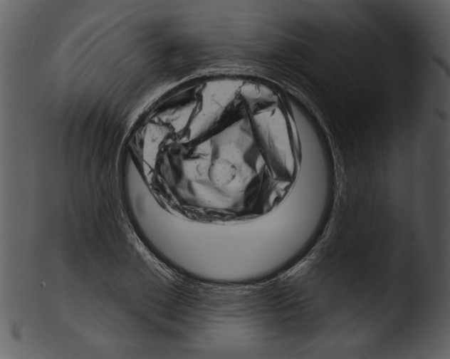 X0000103240981200809251323